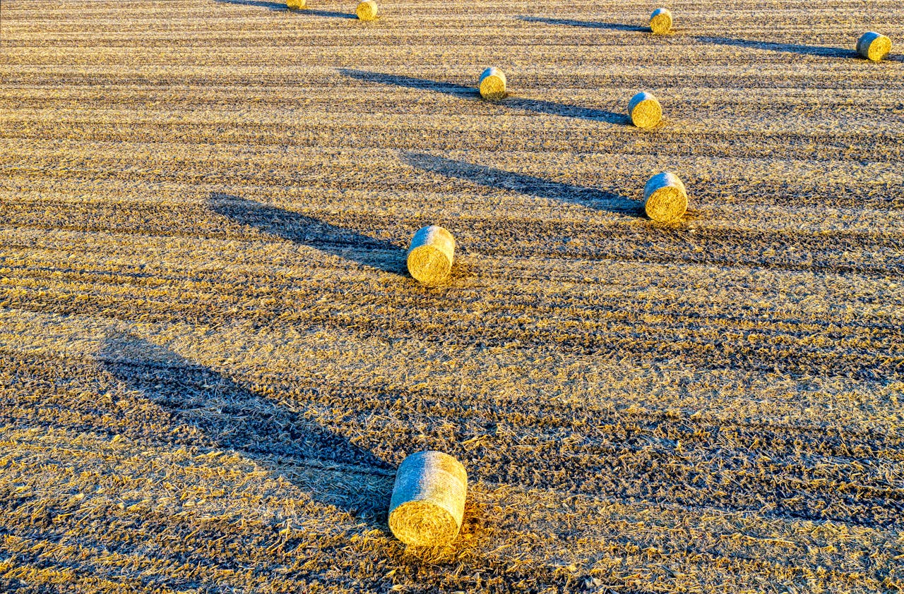 Co sprawia, że sznurek rolniczy jest wytrzymały?