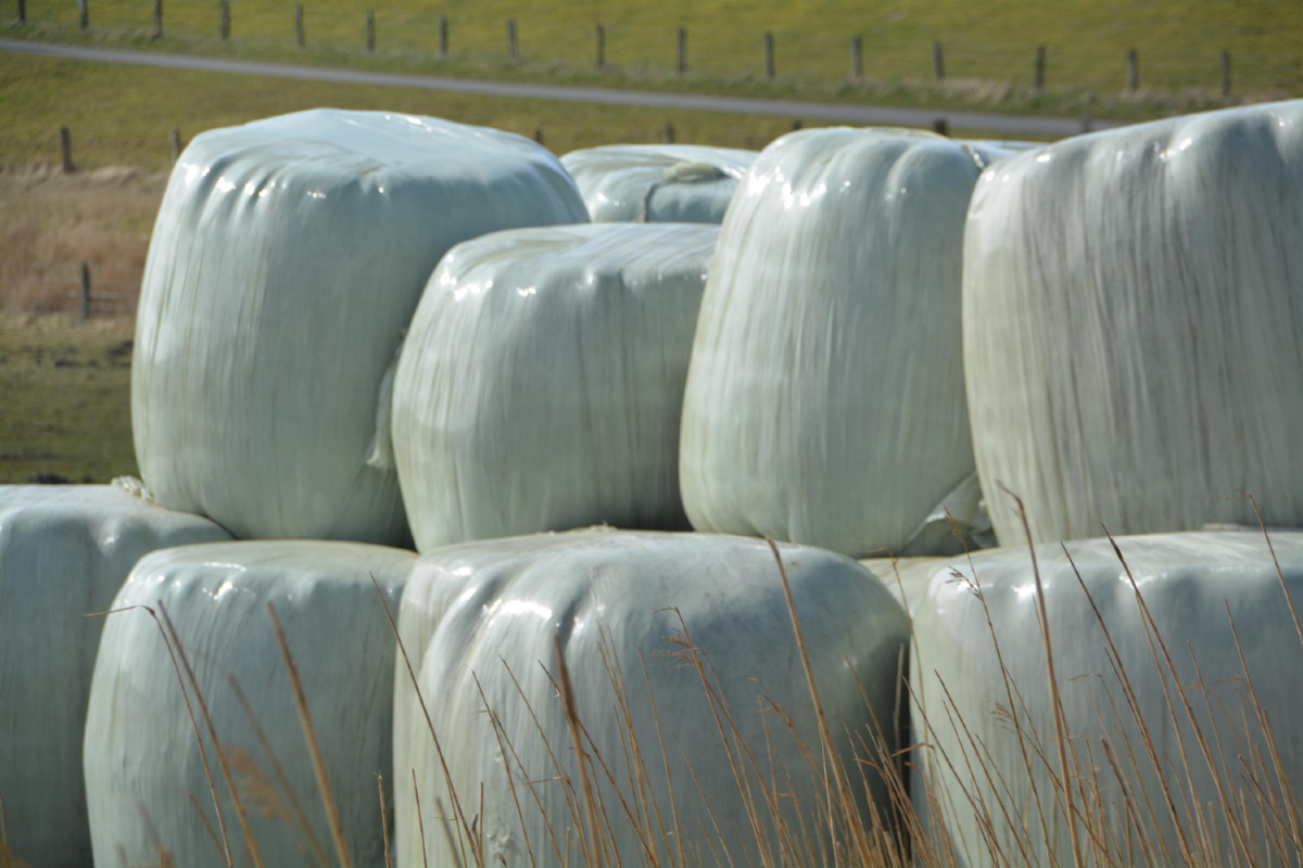 Jaka jest folia rolnicza Ensibal i czy jest odpowiednia do wszystkich rodzajów sianokiszonki?